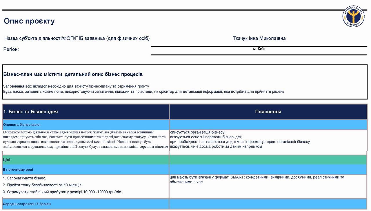 Кабмін - Бізнес-план Приклад с2