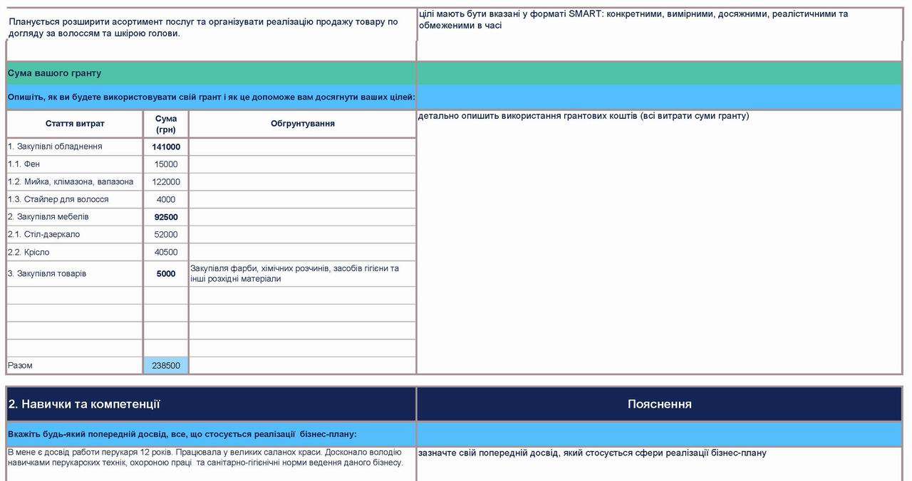 Кабмін - Бізнес-план Приклад с3