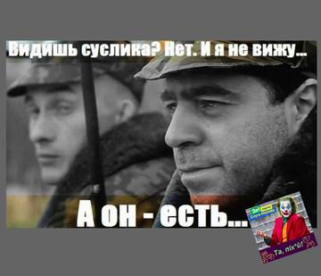 Суслик, кот нет+СлНар+Піх