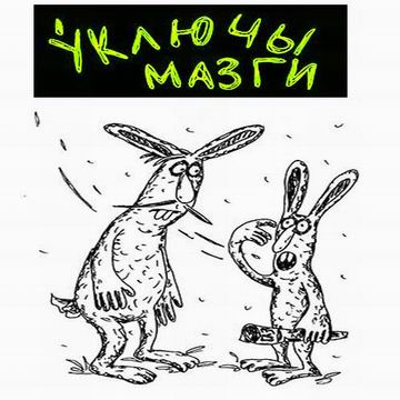 баннер - УклМазги