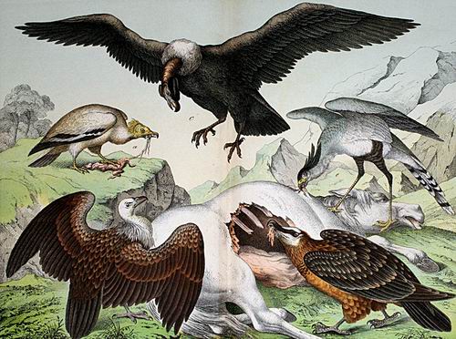 лого - Падальщики