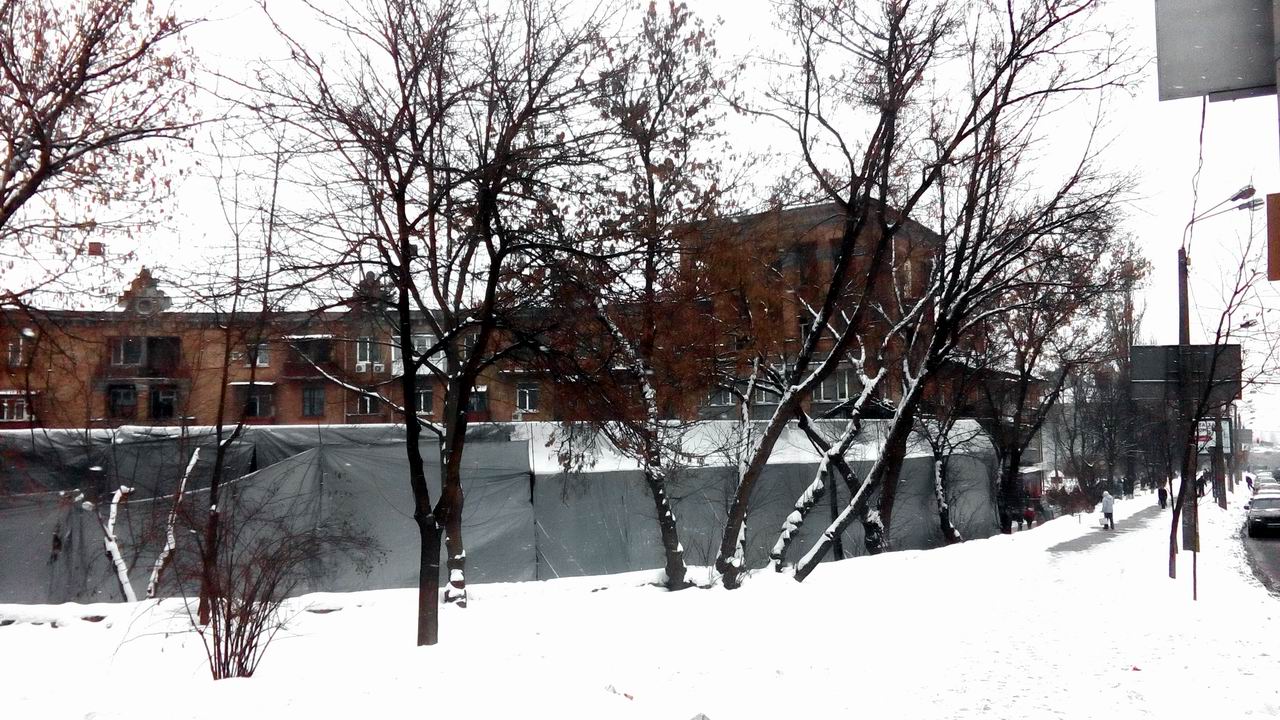 ​Кікв фото 2